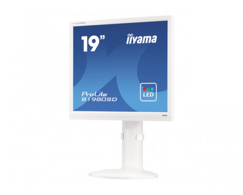 IIYAMA MON 19i TN LED 1280x1024 5ms VGA/DVI Pivot HAS speakers wit B1980SD-W1
