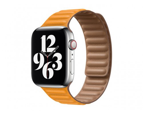 APPLE 44mm California Poppy Leather Link Large