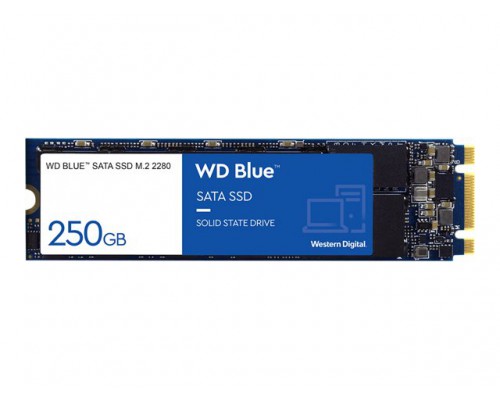 WD 3D NAND SSD 250GB M.2 2280 SATA III 6Gb/s Bulk