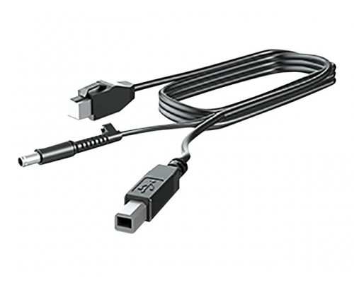 HP 300cm DP+USB PWR CABLE