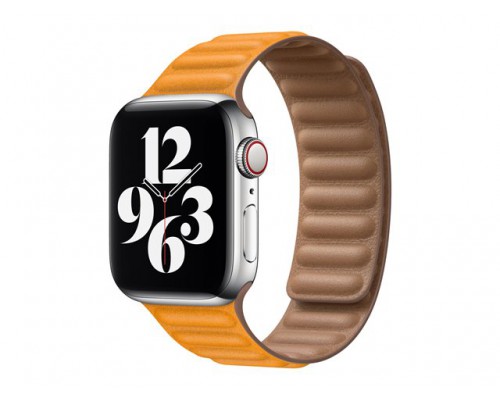 APPLE 40mm California Poppy Leather Link Large