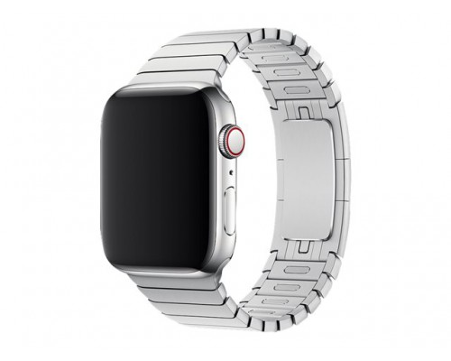 APPLE 42mm Link Bracelet