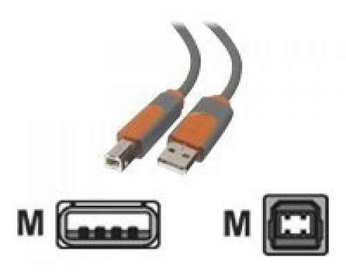 BELKIN USB A/B CBL A/B DSTP4.8M