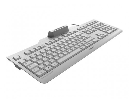 CHERRY SECURE BOARD 1.0 grey (BE)