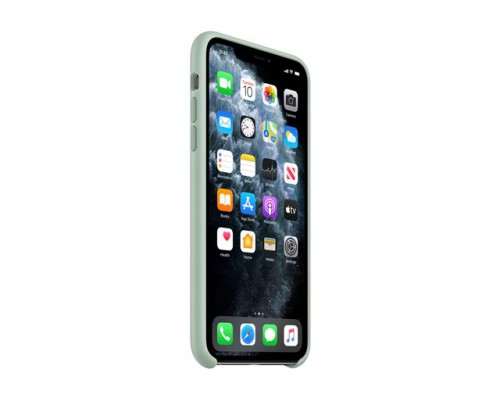 APPLE iPhone 11 Pro Max Silicone Case - Beryl