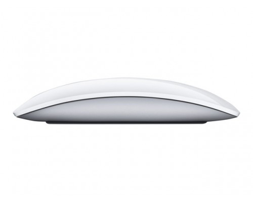 APPLE FN Magic Mouse 2 Multi-Touch-Technology Wireless